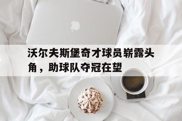 沃尔夫斯堡奇才球员崭露头角，助球队夺冠在望